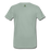 Men's Sakardi Premium T-Shirt - steel green